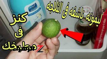 لازمن تعرفي!!..اوعي ترمي الليمون الناشف  كنز ثمين في مطبخك له استخدمات مش هيخطر ببالك!!