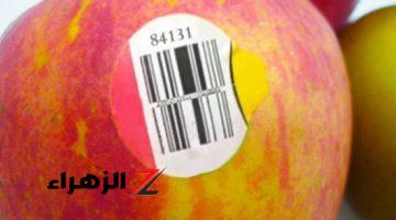 “خطر فيه سم قاتل”.. احذر من هذه الـملصقات الموجودة علي الفاكهة في العربيات والشوارع.. متشتريهاش حتى لو هتموت من الجوع!!