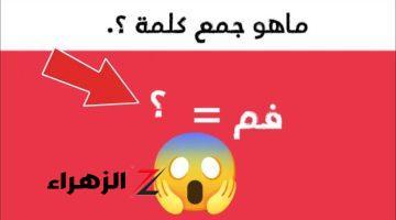 “تحدي جمع الكلمات في اللغة العربية”.. إختبر نفسك ماهو جمع كلمة « فم » في لغة الضاد التي حيرت العلماء.. اتحداك تعرف الإجابة!!