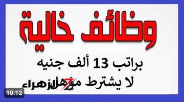 جهزوا ورقكم بسرعة .. براتب شهري يصل إلى 13,000 جنيه.. تعلن وزارة العمل عن توفر 85 وظيفة جديدة بالقاهرة في هذا المجال | التفاصيل