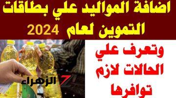 ابنك هياخد زيت وسكر من الصبح.. طريقة إضافة المواليد على بطاقات التموين 2024.. أعرف الشروط والأوراق المطلوبة