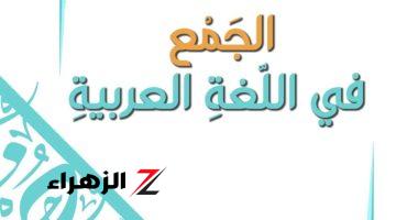 “العباقرة بس اللي هيعرفوها” .. ما جمع كلمات { أخطبوط وحليب ونعناع وبؤبؤ } في قاموس اللغة العربية؟ .. اعرف الإجابة قبل أي حد !!!