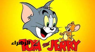 تابع مشاكسات القط والفأر .. واستقبل تردد قناة توم وجيري لمتابعة كرتون Tom and Jerry المفضل للجميع