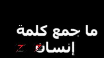 «إجابة عبقرية من طالب عبقري!!».. ما هو جمع كلمة إنسان في اللغة العربية .. سر حير العقول