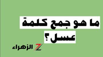 “سؤال حير عقول الطلاب” .. ماهو جمع كلمة عسل في معجم اللغة العربية .. إجابة عجز عنها الجميع !!!