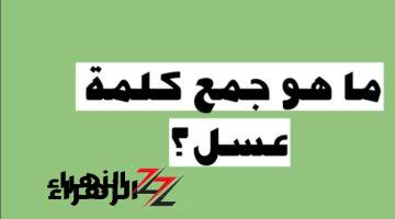 الاذكياء بس هم اللي هيعرفوها .. جمع كلمة «عسل» في اللغة العربية.. اتحداك تعرف الاجابة الصحيحة.. مش عارف تتوقعها 