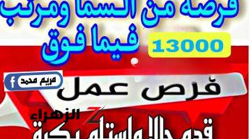 فرصة من السما براتب شهري 13,000 جنيه.. “وزارة العمل” توفر 85 وظيفة جديدة بالقاهرة في هذا المجال.. الحق بسرعه قدم!!