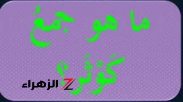 “لغز مش هيحله غير  عباقرة اللغة فقط” .. هل تعلم ما هو جمع كلمة كوثر التي حيرت جميع الطلاب ؟! .. الإجابة مستحيل تخطر على بالك!!!