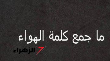 “سؤال مايعرفش إجابته غير 5% فقط” .. هل تعرف ما هو جمع كلمة هواء التي يبحث عنها الكثير من الطلاب .. إجابة مستحيل تتوقعها!!!