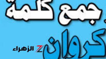 “لغز حير ملايين الطلاب” .. هل تعلم ما هو جمع كلمة كروان في معجم اللغة العربية؟! .. اعرف الإجابة فورا قبل أي حد !!!