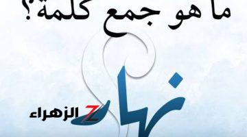 “اختبر ذكاءك” .. ما هو جمع كلمه نهار في معجم اللغة العربية ؟! .. أتحداك انك تعرف تحلها !!!