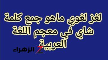 “لغز للأذكياء فقط” .. ماهو جمع كلمة شاي التي حيرت جميع عباقرة اللغة؟! .. هتتصدم لما تعرف الإجابة