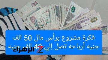 “هتبقى من عين الأعيان” .. لو معاك 50 ألف جنيه تعالى أقولك علي فكرة مشروع أرباحه هتوصل لـ 40 ألف جنيه شهريا .. صدقني الفلوس هتبقى معاك بالكوم !!!