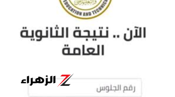 «الناجح يرفع ايده».. تعرف على آخر المستجدات عن الموعد النهائي لظهور نتيجة الثانوية العامة 2024