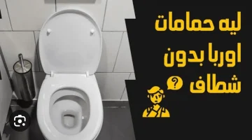 حمامات أوروبا وأمريكا بدون شطاف.. فما السبب وما هي أضرارها؟.. معلومات ستعرفونها لأول مرة