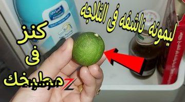 وصفة ولا في الخيال!!.. لو عندك ليمون ناشف اوعي ترميه تعالي أقولك ممكن تعملي بيها اي؟؟ .. كنز ثمين داخل منزلك