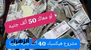 هتعمل فلوس زي الرز .. لو معاك 50 ألف جنيه هقولك علي فكرة مشروع أرباحه هتوصل لـ 40 ألف جنيه شهريا .. فكر علشان ماتندمش