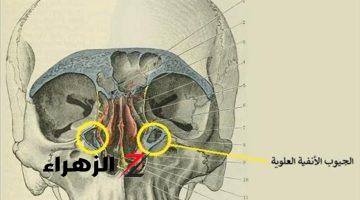 «أنسى انك تعاني من التهاب الجيوب الأنفية تاني»..اسبابه واعلاضة وعلاجه وكيفية القضاء عليه بشكل نهائي بلا رجعة