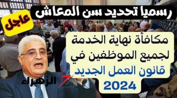 “الف مليون مبروك ليهم “… رسميا تحديد سن التقاعد الرسمي للمعاش ومكافأة نهاية الخدمة وفقا لقانون العمل الجديد 2024.. مش هينامو الليلة!!