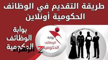 “جهز ورقك وروح قدم !”.. الحكومة تعلن عن وظائف جديدة بمرتب يصل ل 13,000 في هذا المجال.. التفاصيل !!
