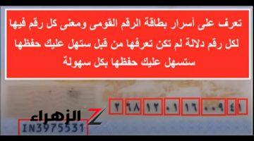 طلع شغل أزرق.. ماهو سر وجود 14 رقم في بطاقة الرقم القومي وأسرار جديدة تكشف عنها الحكومة لأول مرة