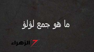 السؤال الذى حير الجميع… ما هي جمع كلمه “لؤلؤة” في اللغة العربية ؟! .. العباقرة بس الى هيجاوبو!