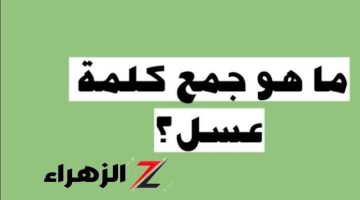 سقطت طلاب بالكوم.. هل تعرف ما هو جمع كلمة ( عسل ) في اللغة العربية؟.. تبقى عبقري لو عرفتها!!