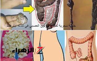 تناوله مرة واحدة.. يطرد 10 كيلو من الفضلات الكريهة كالاحجار وامساك السنين سيختفى وهتخف بطـنك بشكل كبير