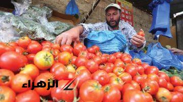 فيها سم قاتل انتبه قبل فوات الآوان.. وزاره الزراعة تحذر من شراء هذا النوع من الطماطم تسبب في وفاة عائلة كاملة!!