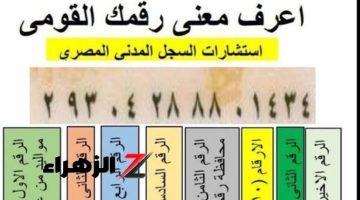 “لو عرفتها تبقى عُمدة بلدك!”.. ماذا يعني مدلول الـ 14 رقم الخاص ببطاقة الرقم القومي التي تخص المواطنين!؟