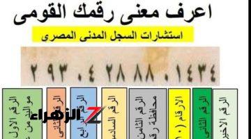 مستحيل حد يكون عارفها..!! ماذا يعني مدلول الـ 14 رقم الخاص ببطاقة الرقم القومي؟ .. أخيراً عرفنا السر