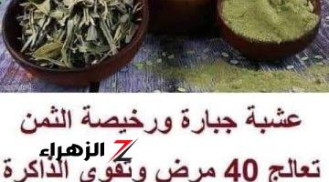 “معجزة القرن الـ 21”.. ملعقة واحدة فقط من هذه العشبة السحرية سوف تنهي كل أوجاعك وتخلصك منها للابد !