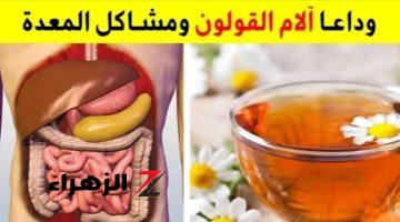 “ولا تخطر على بال عفريت”…. عشبة طبيعية 100% تساعد في علاج المشاكل الهضمية المختلفة واضطرابات القولون.. تعرف عليها!!!