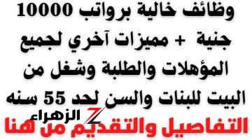 «جهز ورقك حالا» .. الحكومة تعلن عن وظائف شاغرة للشباب والكبار لجميع المؤهلات بمرتبات مجزية تصل إلي 10 آلاف جنيه !!