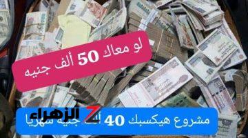 اعملك شوال فلوس!!.. لو معاك 50 ألف جنيه هقولك علي فكرة مشروع أرباحه هتوصل لـ 40 ألف جنيه شهريا .. فكر كويس علشان ما ترجعش تندم