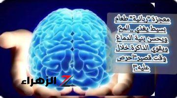 “كنز رباني أغلي من الياقوت والمرجان!”.. أطعمة موفورة برخص التراب تقوي الذاكرة وتعالج النسيان تحارب الشيخوخة وتغذي المخ وتحسن بنية الدماغ.. احمي نفسك قبل ما الوقت يفوتك