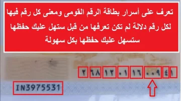 اتحداك تيجي في بالك!!.. هل تعلم ماذا يعني مدلول الـ 14 رقم الخاص ببطاقة الرقم القومي الشخصية المصرية؟