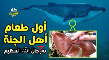 الإفتاء توضح.. لماذا نأكل كبد الحوت في الجنة؟