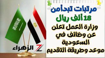 المرتب بيبدأ من 18000 ريال.. السعودية تعلن عن فرص عمل للمصريين بالخارج “انتهز الفرصة وقدم”