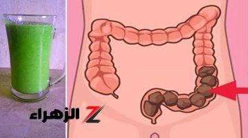 العشبة المعجزة.. نبتة سحرية تنظف القولون وتخلصك من البراز المتحجر.. وداعا للألم