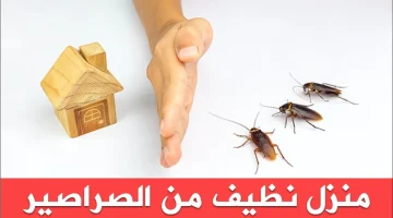 كانت تايهه عننا فين!!… عجينة سحرية للقضاء على الصراصير في اقل من 5 دقائق!