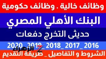 “فلوس فوق الـ10000 باكو” وظائف البنك الأهلي لحديثي التخرج بمرتبات مجزية… تعرف على الشروط المطلوبة وطريقة التقديم