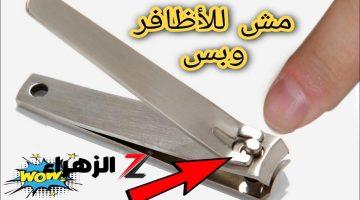 كانت تايهه عننا فين!!… قصافة الاظافر ملطعتش بس للقص اعرف الاستخدامات المزهلة بتاعتها!