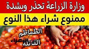 “اوعي تغلطي وتشتريها” .. تحذير عاجل من وزارة الصحة بشأن هذا النوع من الطماطم المنتشر في الأسواق .. الحقي نفسك انتي وعيالك قبل فوات الآوان!!