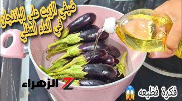 ولا كانت تيجي في بالك..! الطريقة السحرية لتحضير باذنجان مخلل لذيذ بدون قليه في الزيت!! واكتشفي سر الطعم الرائع!