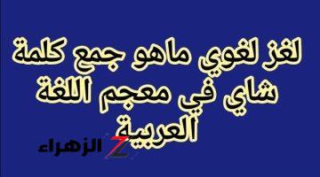 سقطت آلاف الطلاب .. السؤال الذي أبكي ملايين طلاب الثانوية العامة ما هو جمع كلمة شاي في معجم اللغة العربية .. الإجابة غير متوقعة من خبير لغة عربية