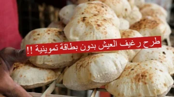 “خبر بمليون جنيه” .. بشري سارة للمواطنين بشأن أسعار الخبز البلدي بدوون بطاقة تموين