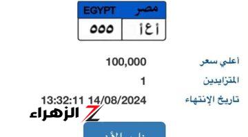 أرخص لوحة.. مزاد على نمرة سيارة “أ ع أ- 555” المميزة قيمتها 100 ألف جنيه