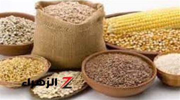 أسعار أعلاف الدواجن اليوم السبت 17-8-2024 في الأسواق المصرية