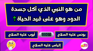 «أصعب 10 أسئلة دينية وإجابتها».. من هو النبي الذي أكل جسده الدود وهو على قيد الحياة؟